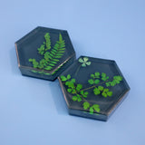 Hexagon Coaster Molds