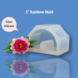 5" Rainbow Mold